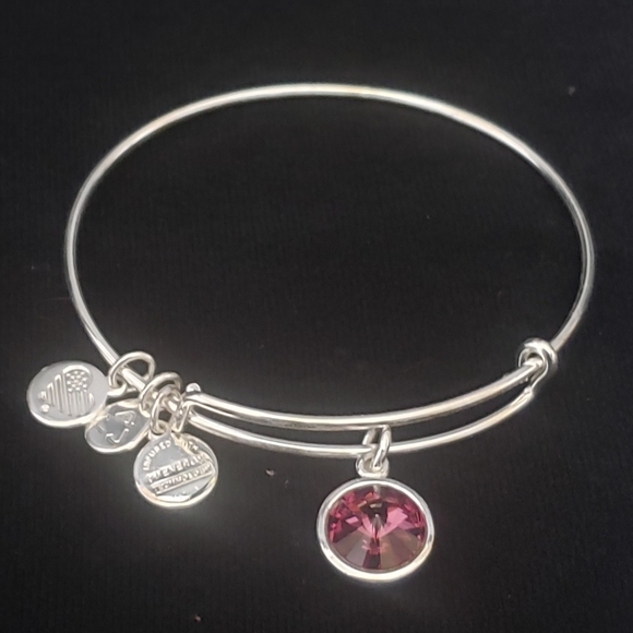 NWOT Alex & Ani RS February Swarovski Bracelet - Picture 8 of 11